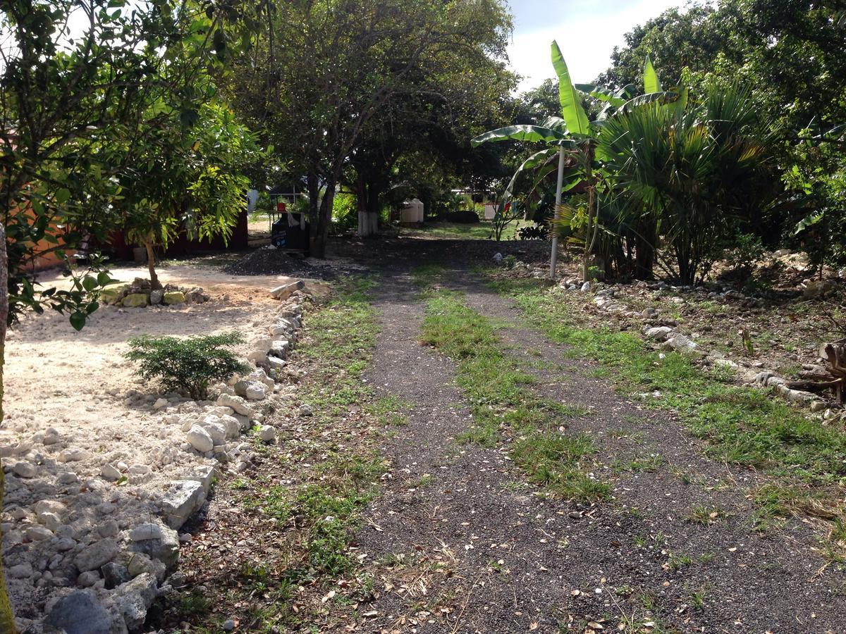 אשפלוכיל Cabanas Chaac Calakmul מראה חיצוני תמונה