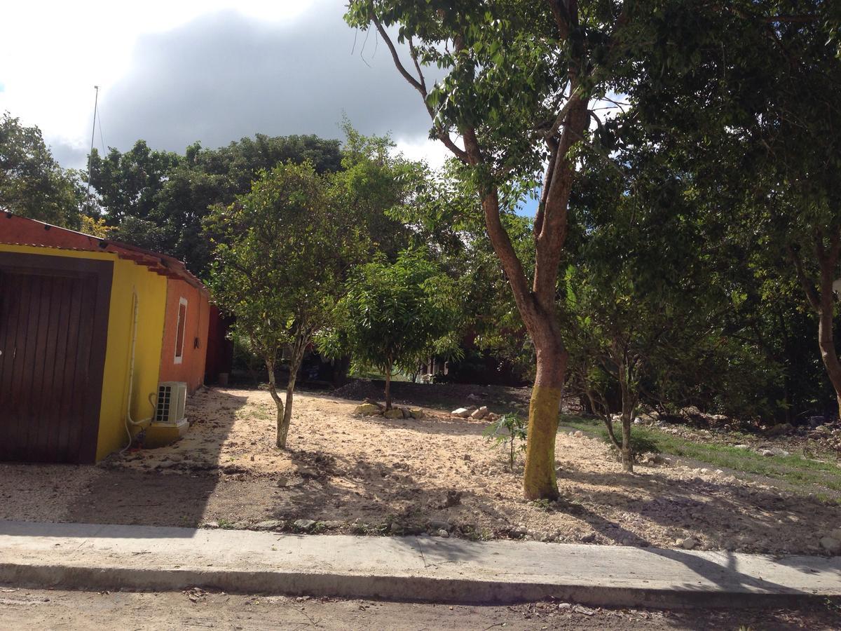 אשפלוכיל Cabanas Chaac Calakmul מראה חיצוני תמונה