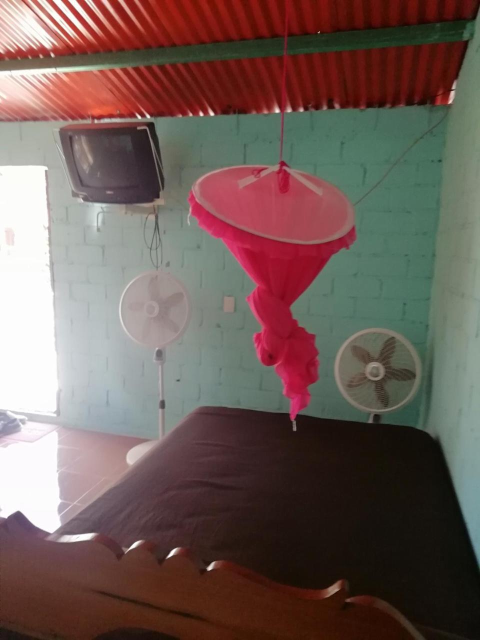 אשפלוכיל Cabanas Chaac Calakmul מראה חיצוני תמונה