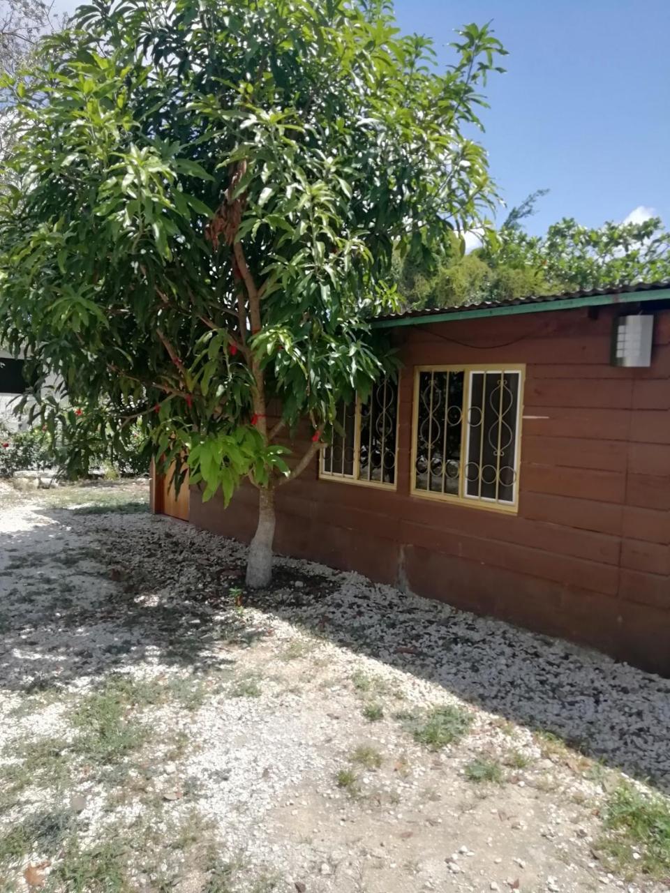 אשפלוכיל Cabanas Chaac Calakmul מראה חיצוני תמונה
