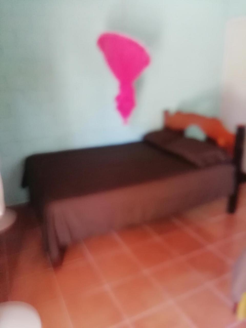 אשפלוכיל Cabanas Chaac Calakmul מראה חיצוני תמונה