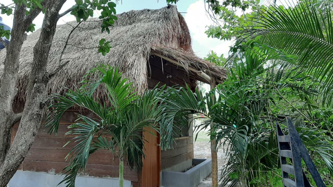אשפלוכיל Cabanas Chaac Calakmul מראה חיצוני תמונה